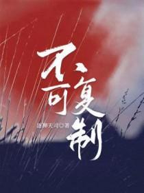 不可复制不可替代