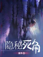 隐秘死角TXT免费