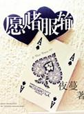 愿赌服输歌曲那英