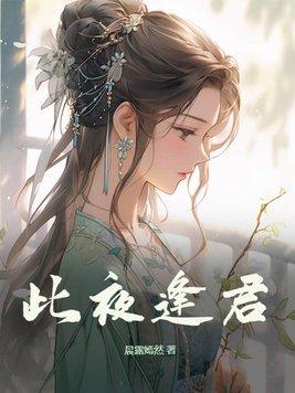 此夜逢君简介