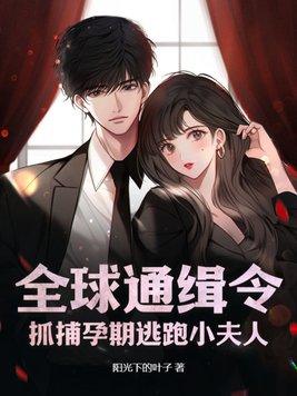全球通缉少夫人全文免费阅读琳琅