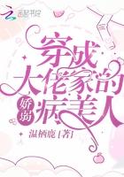 穿成大佬家的娇弱病美人简介