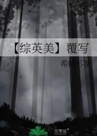 综英美覆写