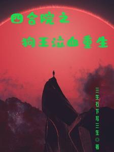 四合院从军团长转业的
