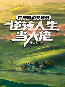 开局离婚的娱乐圈