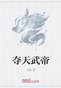 夺天宗师