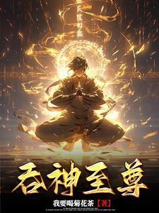 吞神至尊秦沉陆天雪