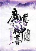 痞妻太抢手txt
