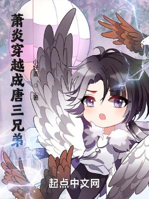 混天鼎萧辰几个女人