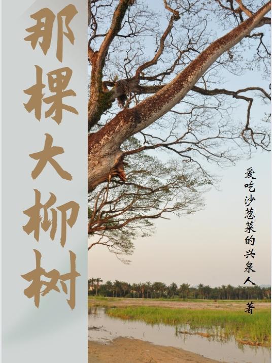 茶染浅墨